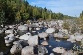 Flottning har bedrivits i stor skala i Fjällsjöälven, men omfattningen av rensning i torrfåran är svårt att uttala sig om.