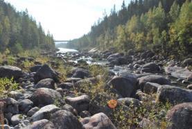 Om en utrivning av tröskeln vid Hällforsen skulle göras så skulle vattenspegeln nedströms Imforsen sjunka.