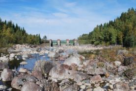 Inga elfisken har gjorts i torrfårorna.