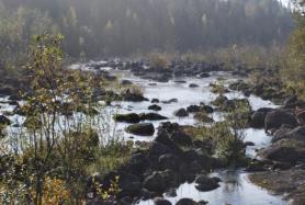 Älvfåran nedströms tröskeln bestod till stor del av block och sten. Långforsen har stora möjligheter att fungera som ett mycket bra lax, öring- och harrhabitat.