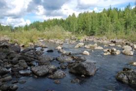 Fotot taget nedströms från tröskeln. Fotot taget uppströms mot tröskeln. Elfiske har utförts vid en lokal i Långforsen.