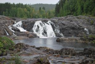 Kilforsen kan ha utgjort ett naturligt vandringshinder för ett flertal fiskarter redan innan regleringen, vilket antyds av de höga klipporna i den torrlagda forssträckan.