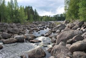 När spegeldammen försvinner torde strömsträckan vid Kilforsen förlängas. Strömsträckan förlängs sannolikt även vid forsen i Krånge.