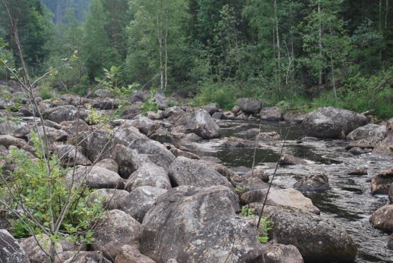 Området mellan tröskeln och Åkvisslan (ca 4 km) är flottrensad, varför det kan finnas områden där block och sten bör läggas tillbaka i fåran.