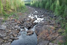 Förslag till åtgärder En utrivning av tröskeln vid Åsmo är nödvändig, då tröskeln utgör ett vandringshinder.