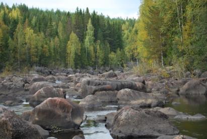 En av stenkistorna är idag belägen långt in i skogen.