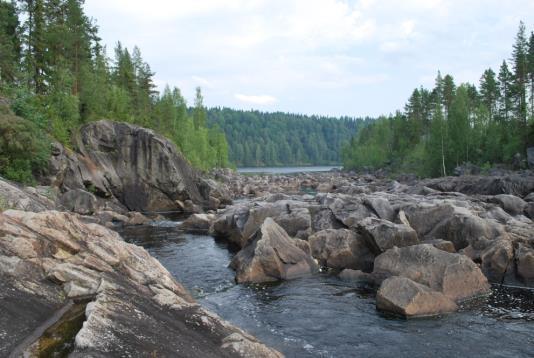 Vattenfallet utgjorde antagligen ett vandringshinder till viss del.