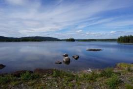 dämningsområde uppströms Korsselbränna kraftverk där Sjoutälven har omvandlats till en konstgjord