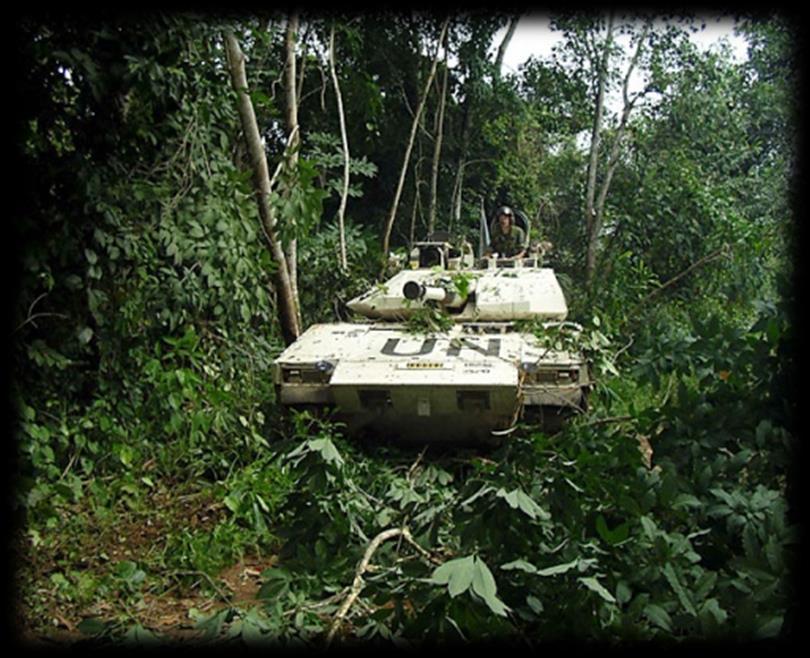 International Security Assistance Force In duty since June 2009 8 CV9040C, 1 ARV 90C in Afghanistan 13