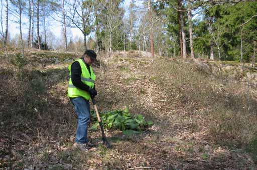 Metod Att avbilda hällristningar Valet av metod för att avbilda hällristningar är ett ofta diskuterat ämne.