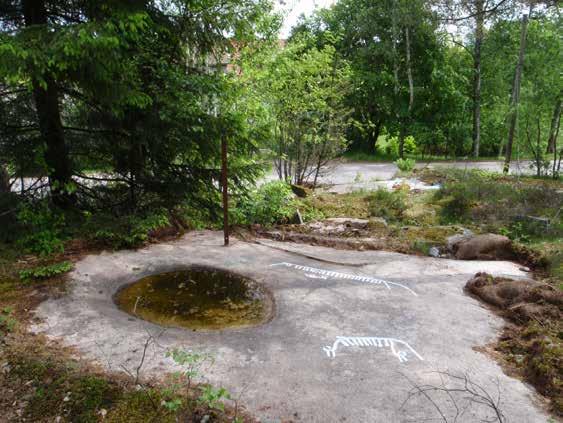 Fig. 21. Brastad 16:1, yta B, ligger ovanför yta A, invid en liten vattensamling. Miljö mot Ö.