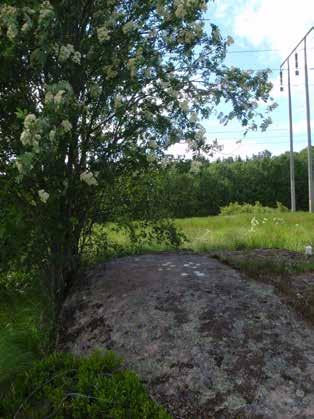 Koordinat (N/E): 6478191 / 295838 (SWEREF 99 TM), (lat/long): N 58 23 48,45, E 11 30 22,77 (WGS84) Brastad 69:1 Beskrivning: Hällristning, 1,1x0,5 m (NÖ-SV), bestående av 13 skålgropar, 4-9 cm diam