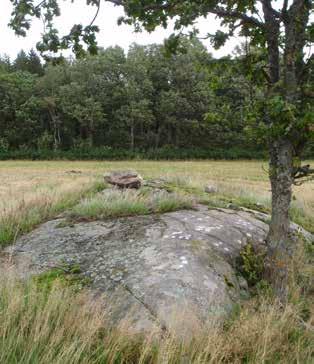Brastad 187:2 Beskrivning: Hällristning, 2,1x0,5 m (NNÖ-SSV), bestående av 10 skålgropar, 3,5-6 cm diam och 0,5-2 cm dj. Naturligt gropig gnejs, några av skålgroparna osäkra.