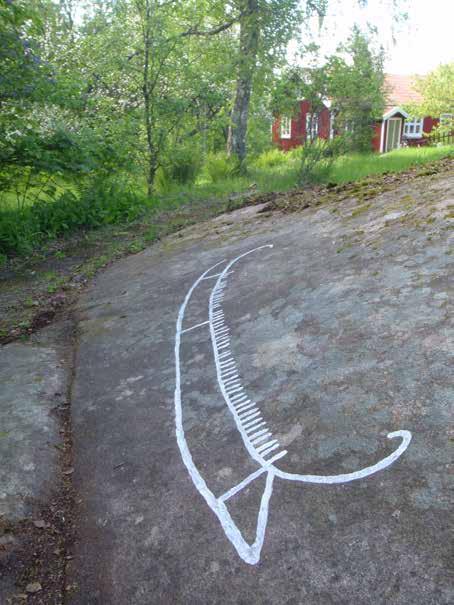 Fig. 57. Brastad 309:1 ligger på en privat tomt i Tuntorp. Det vackra skeppet är 2,3 m långt och typiskt för äldre bronsålder med sina inåtböjda stävar. Miljö mot NNV.