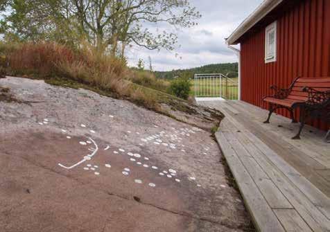 Brastad 624 Fig. 65. Den nyfunna lokalen Brastad 622 i trakten av Heden, nära gränsen till Lyse socken. Miljö mot NO.