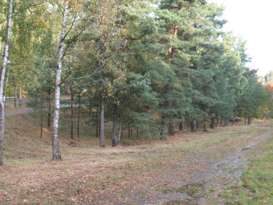 Projektet berör inte några naturvärden som är utpekade i kommunens översiktsplan.