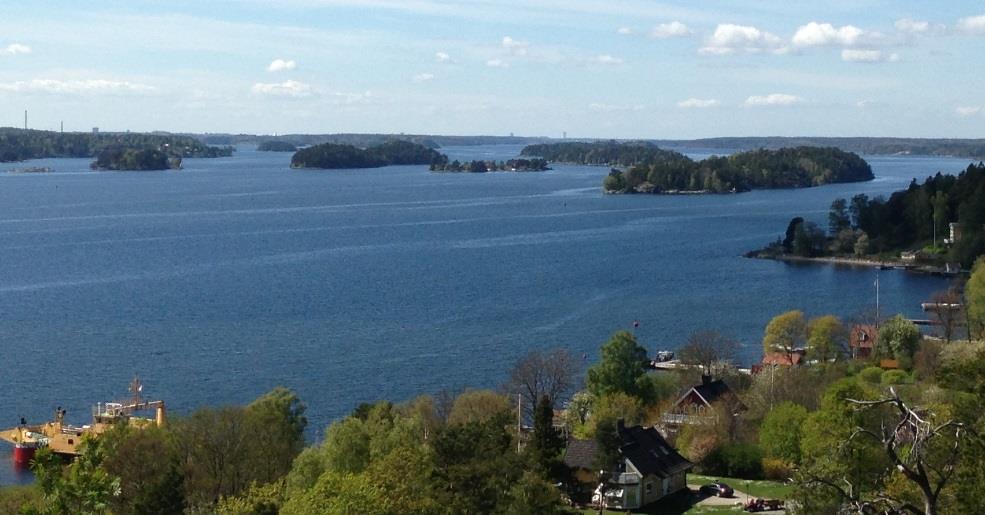 Åtgärder Här förslås Kartera våtmarker och landmiljöer - anläggande av skyddszoner vid vattendrag och dammar för ökad rening av växtnäring, eller fisklek.