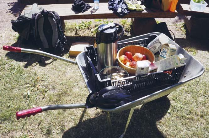 Foto: Klangfärg Utomhus med alla sinnen Välkommen till en kursdag på Botaniska trädgården i Göteborg. Med alla sinnen utforskar vi växternas spännande liv.