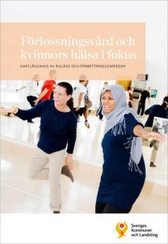 Förlossningsvård och kvinnors hälsa i fokus Kartläggning av nuläge och förbättringsområden Sverige strävar efter att uppnå en jämlik vård som utgår från individens behov.