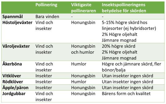 Humlor är tåliga och är specialiserade på att pollinera djupa blommor, t ex rödklöver För honungsbiet, där bisamhället övervintrar, går det snabbt att komma igång på våren, och samhällena är stora.