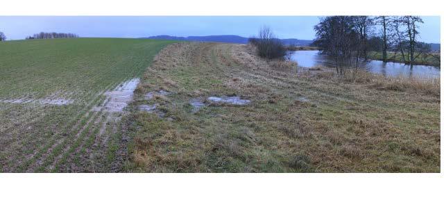 Bild 5. En gräsbevuxen skyddszon ger skydd mot erosion under vintern.