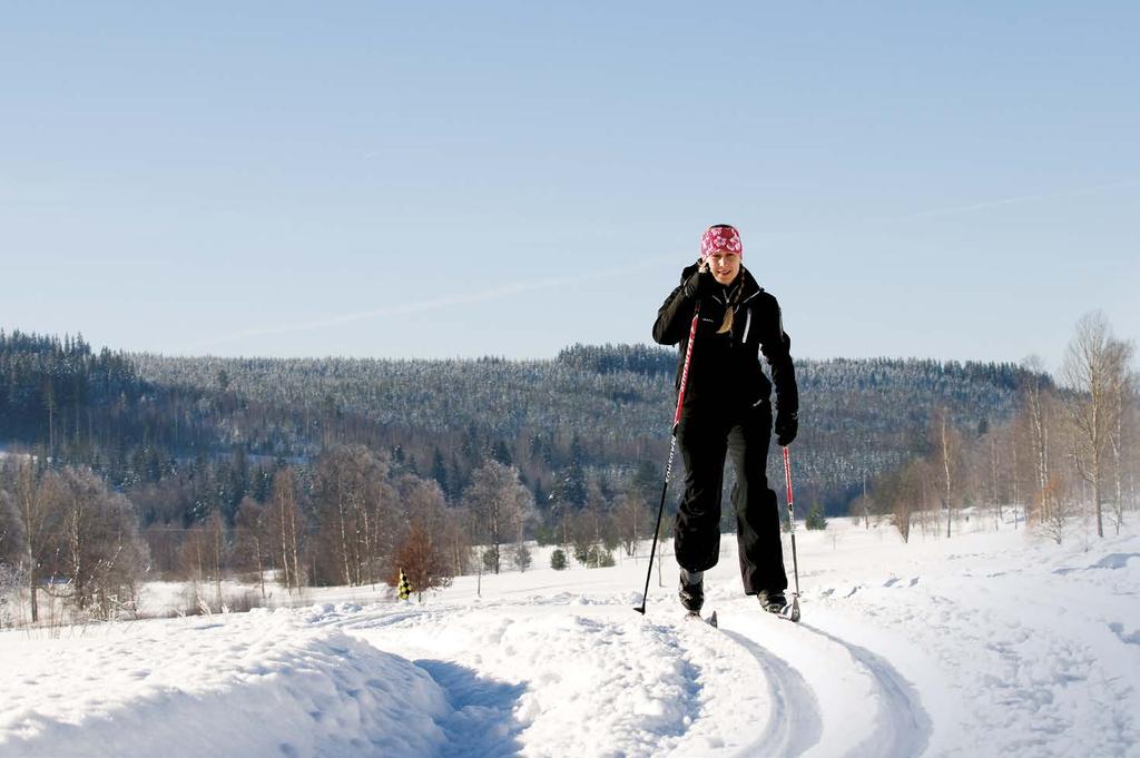 37 Antagen av kommunfullmäktige