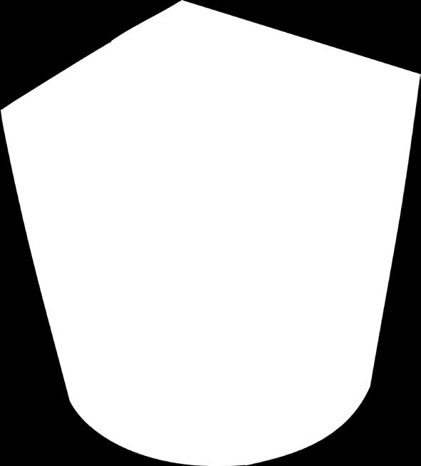 DELÅRSRAPPORT