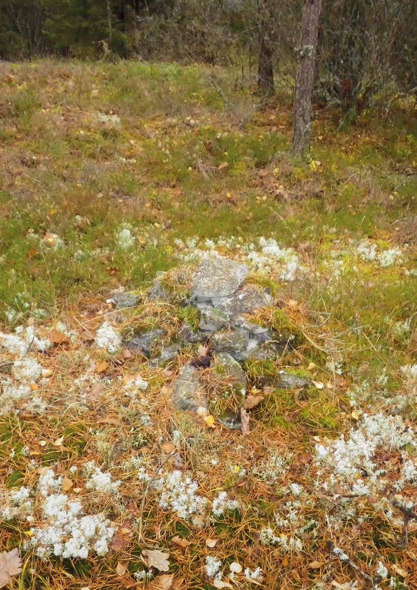 Planerad kraftleding mellan Skogssäter och Stenkullen alternativ väst, Ryd