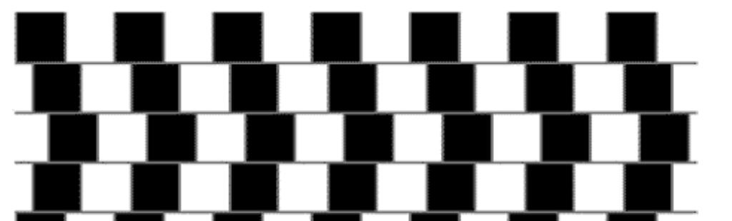 Adelson s Checker-shadow illusion