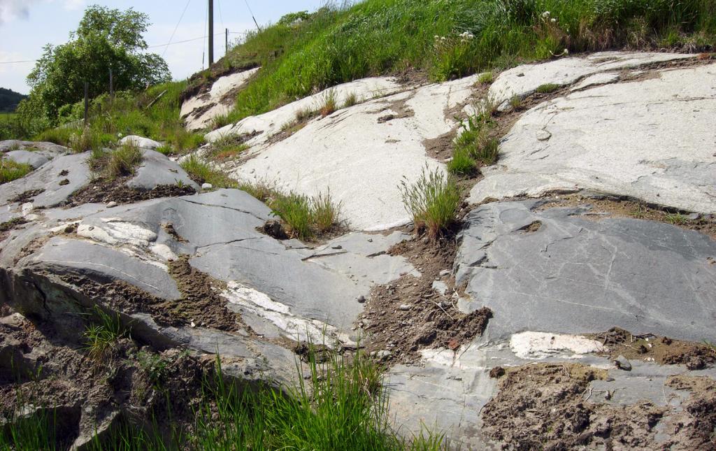 Red-grey, fine- to medium-grained, veined, gneissic granodiorit 800 m south-west of Tjurholmen (MGO090038A, 6428617/308446) with very good technical properties, AN-value = 9% and LA-value = 17%.