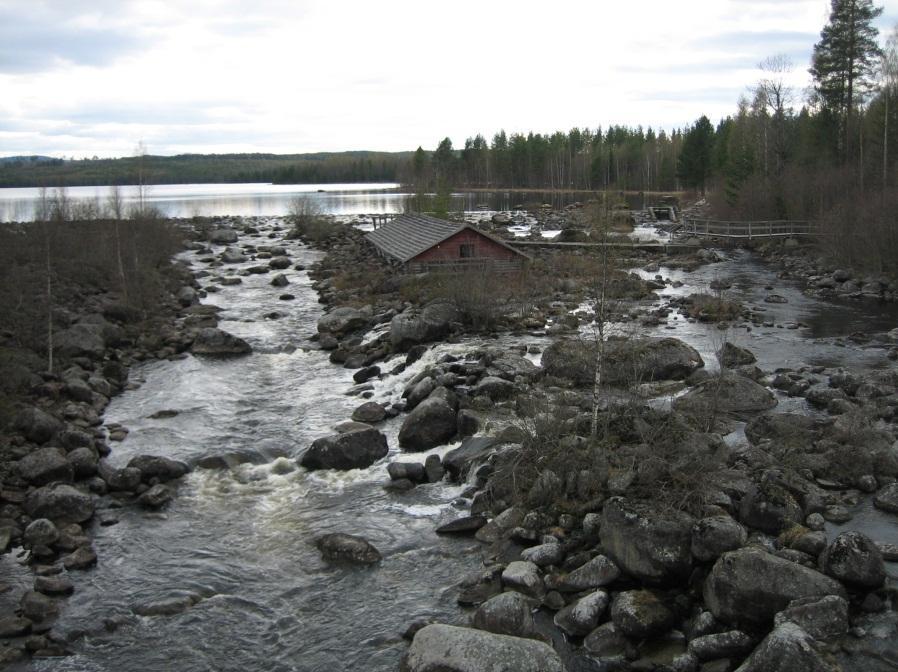 Värden, konsekvenser och skadeförebyggande åtgärder Ramdirektivet för vatten och miljökvalitetsmål Ekologisk status måttlig vid vattenförekomsterna både Alby och Ringdalsdammen För god ekologisk