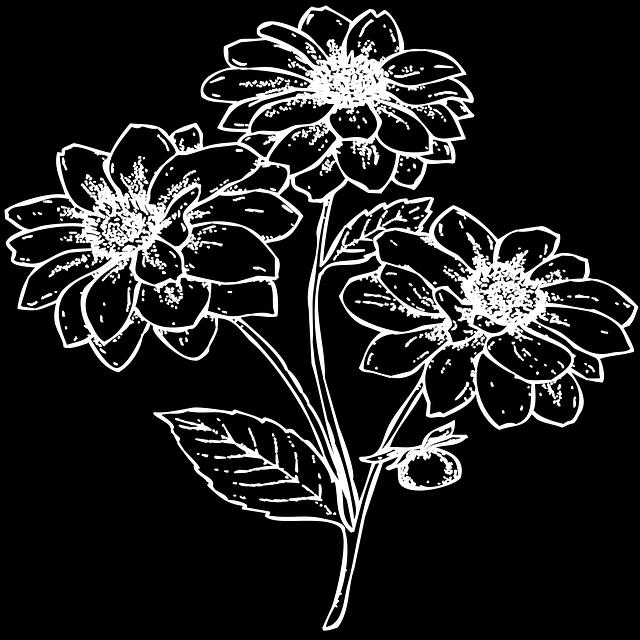 Plats/samling: Naturarium Kontakt: Ulla Nilsson Tel: 070-560 20 04 E-post: ullamaritanilsson@gmail.