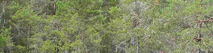 Organiserade aktiviteter inom projektet Säsongen inleddes med en kick-off för deltagarna 19 april på Naturcentrum.