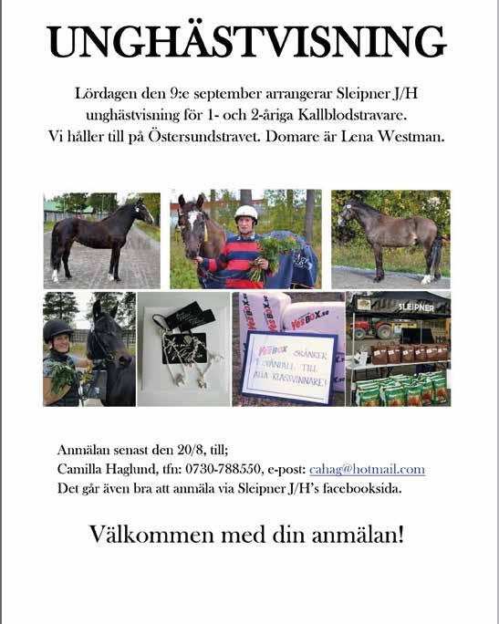 : -åriga och äldre.00 -.000 kr med högst 00 poäng. 0 m. Tillägg 0 m vid vunna.00 kr, 0 m vid 0.00 kr. Pris:.000-.00-.00-.00-.00-.000- (.000)-(.000) kr. 000 M 00 M TORRIDE 0:, K, AK 00,br. s.
