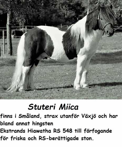 TILL SALU JUST NU!
