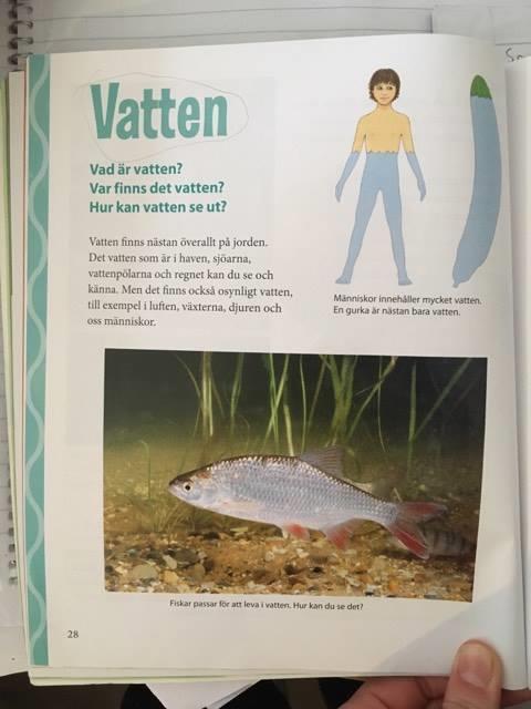 Bok 2 Den första sidan i kapitlet introducerar området vatten, var det finns och hur det kan se ut. Uppslaget i vattenavsnittet i bok 2 ser ut som följande.