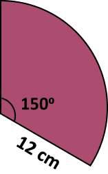 6- En cirkel har omkretsen 4 cm.