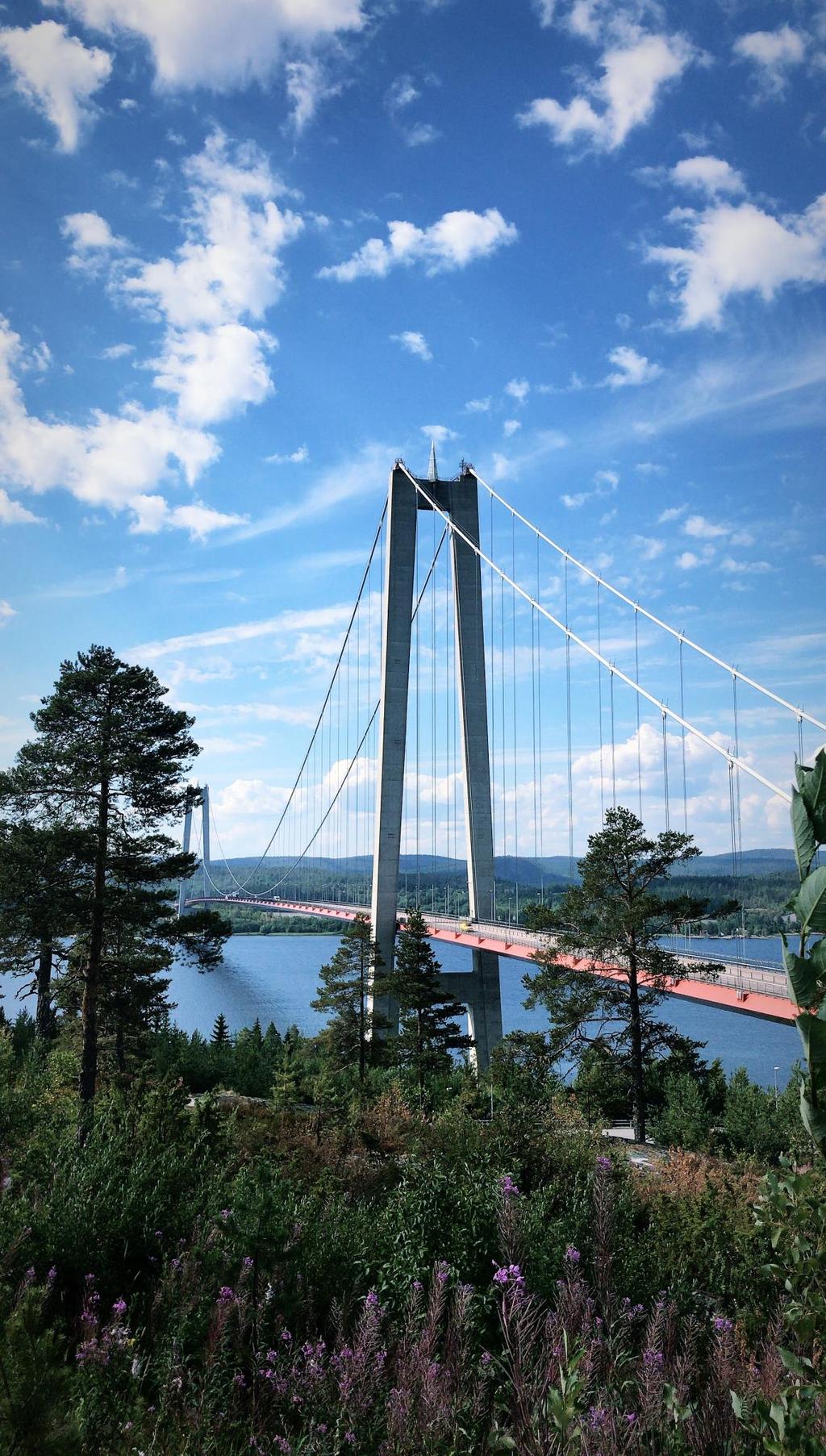 30-års