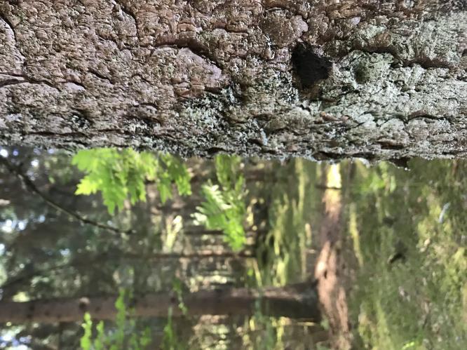 Träningar/Aktiviteter i sommar med Hjobygden UPPMÄRK- UTK SAMMAR! Torsdagar: Ungdomsträning på Högaliden 18:00 ca 19:30 under hela september och oktober. Ingen träning vecka 44.