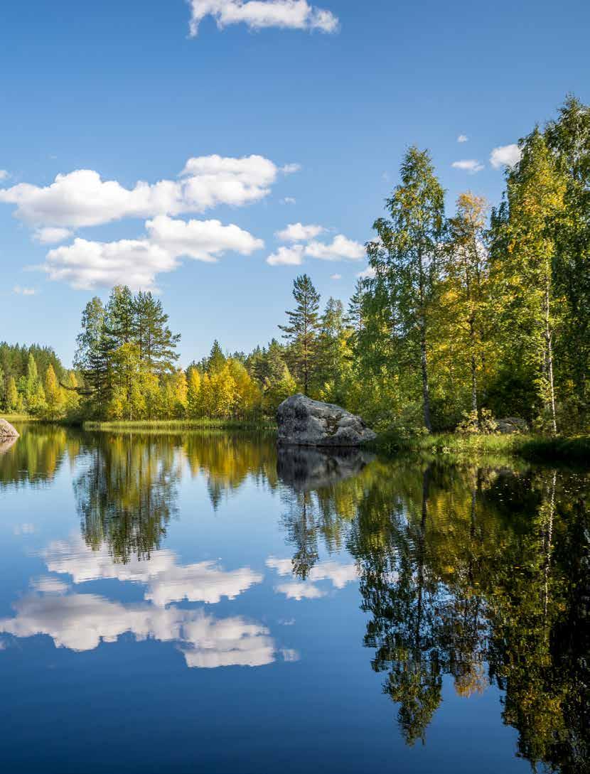 Trendigt och rätt, för dig och vår miljö! För oss som företag känns det naturligt och rätt att tänka på miljöfrågorna.