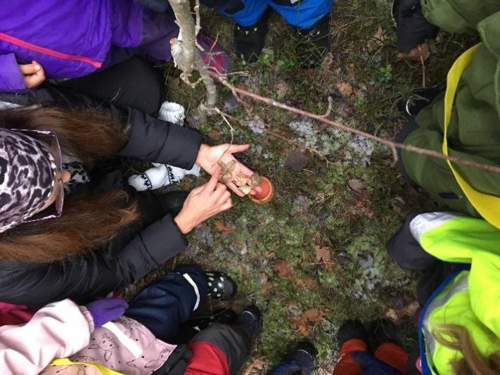 I en mossig stubbe innan man går in i Mörka Skogen ska det finnas en magisk ramsa som behövs för att