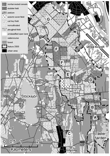 Figure 1. Agricultural land use in the Ume River Delta Plains in 2004. The seven feeding sites are indicated with letters A G.
