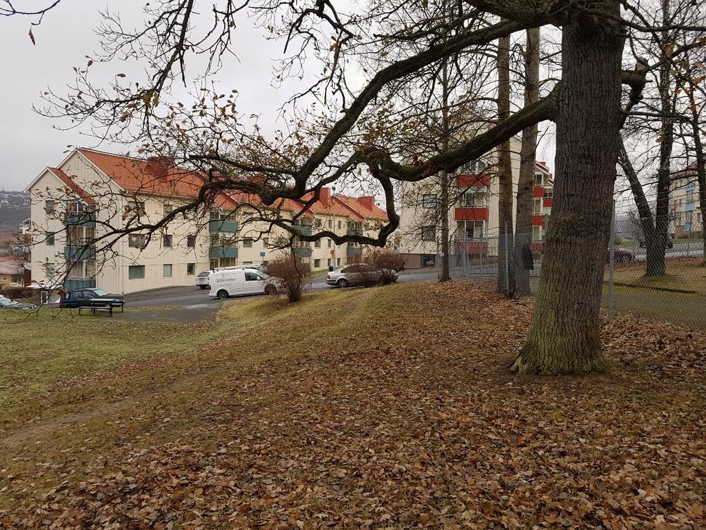 Granskad av Godkänd av Erik