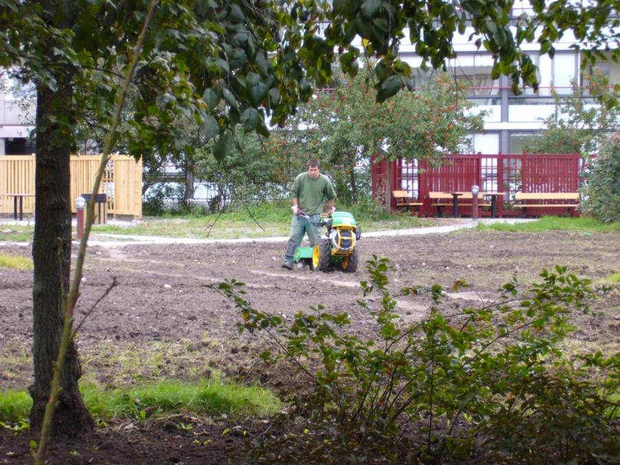 Vid en anläggning av en takträdgård måste flera saker tas i beaktning, se figur 3.