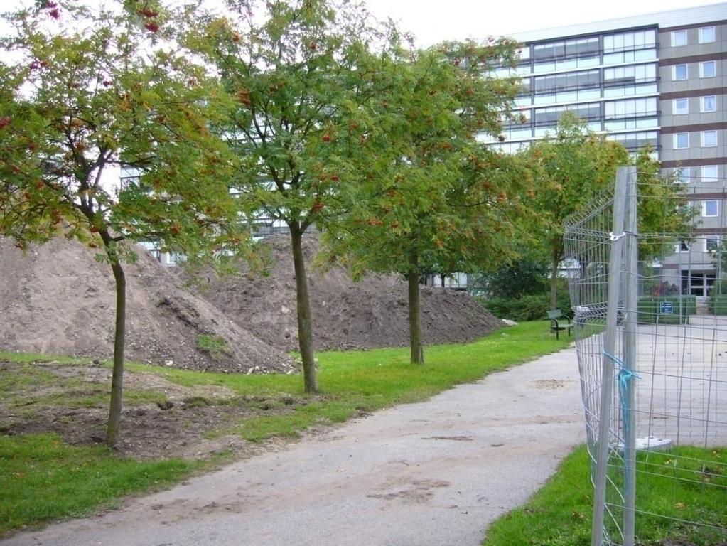 Något som ingår under skötseln men bör belysas en extra gång är bevattningen. Växtligheten på takträdgårdar har en extremt torr växtbädd som snabbt torkas ut då jorddjupet är tunt.