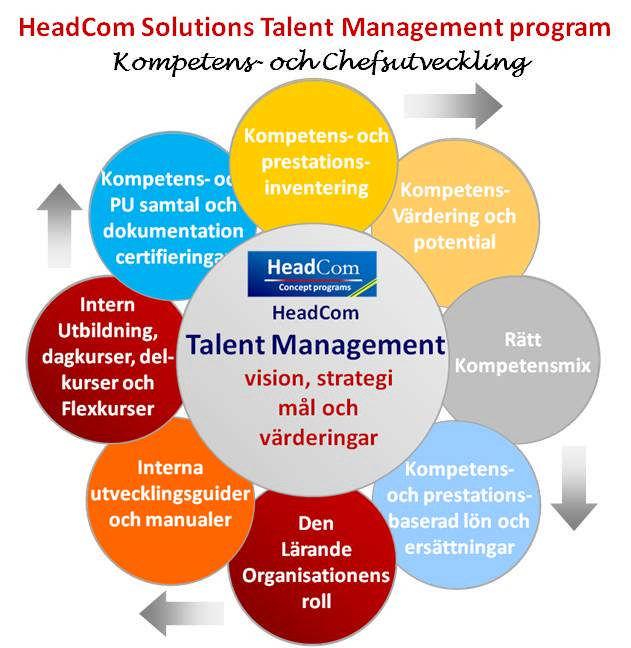 Talent Management Program.