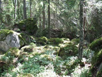 Objekt 1 Stensträng och stensamling Lämningen består av två delar. I nordväst är stensträngen 3x1,5 meter lång (SÖ-NV) och den löper mellan några block.