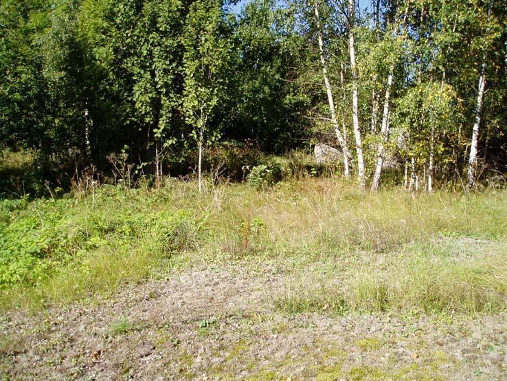 2:2 SKATTEGÅRDEN Torp nr Tidigare fastighetsbeteckning Backstuga 31 Paradiset Erkers Torpet finns på Häradsekonomisk karta 1868-77, markerat med Bs.
