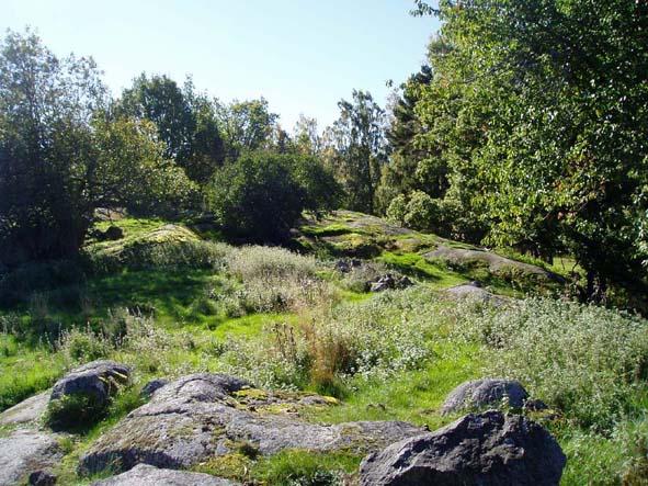 10:3 GATUGÅRDEN Torp nr Tidigare fastighetsbeteckning Backstuga 78 Skötta-torpet Torpet finns på Häradsekonomisk karta 1868-77, markerat med Bs 31. Torpet låg mittemot Klockaregårdens soldattorp.