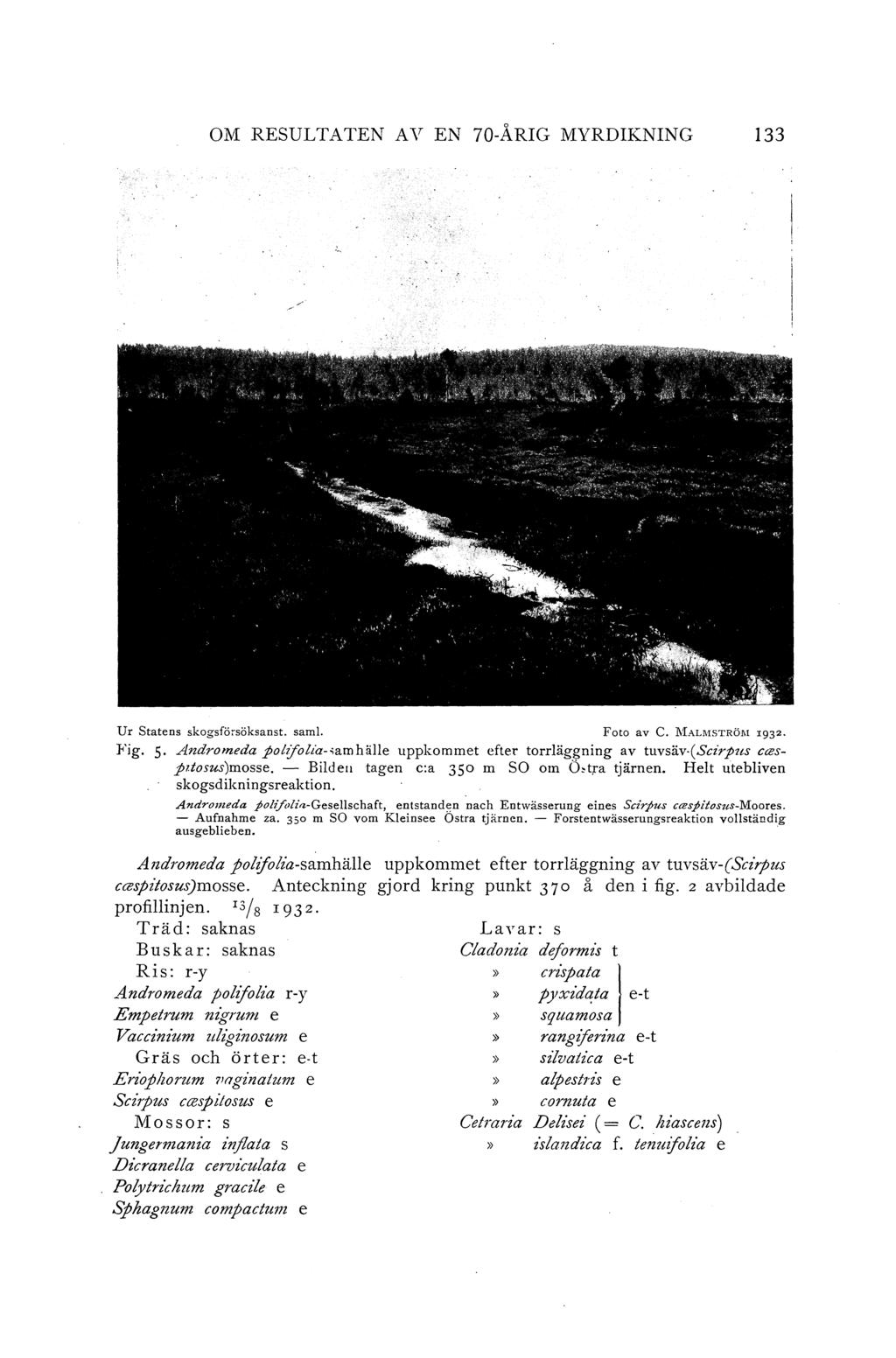 OM RESULTATEN AV EN 70-ÅRIG MYRDIKNING 133 Ur Statens skogsförsöksanst. saml. Foto av C. l\iallviströj\1 1932. Fig. 5 Andromeda po!ifolta-;amhälle uppkommet efte~ torrläggning av tuvsäv (Scirpus C(J!